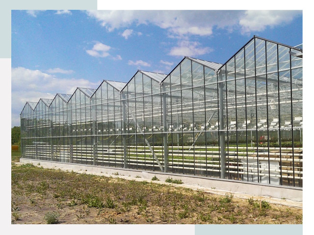 Строительство теплиц в Благовещенск от 623 руб. за м²
