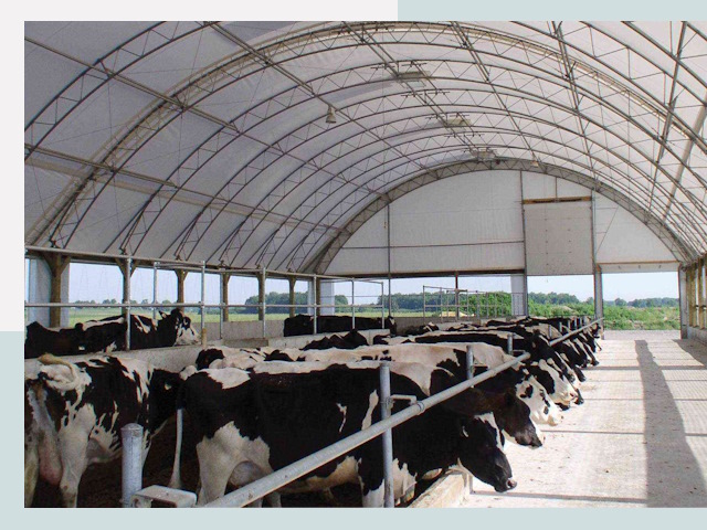 Тентовые коровники в Благовещенске